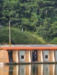 밤밭낚시터 유료낚시터 > 밤밭 7/19 장마는 가고 붕어는 옵니다. : 낚시사랑