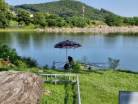 오류내낚시터 유료낚시터 > 조황소식 : 낚시사랑