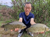 추곡낚시터 유료낚시터 > 조황정보 &주말방류. : 낚시사랑