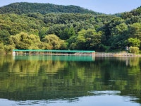 안성죽산장계낚시터 유료낚시터 > 힐링속에공간을찾아서 : 낚시사랑