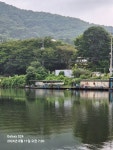 추곡낚시터 유료낚시터 > 조황정보 입니다.!! : 낚시사랑