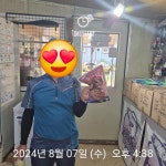 한일지기 유료낚시터 > >>>한일낚시터 붕어 조황 : 낚시사랑