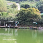세월낚시터 유료낚시터 > 양평 세월낚시터 근황입니다 : 낚시사랑