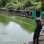 세월낚시터 유료낚시터 > 양평 세월낚시터 근황입니다 : 낚시사랑