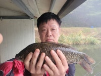 용담낚시터 유료낚시터 > 최근4짜조황들입니다 : 낚시사랑