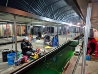 안성죽산장계낚시터 유료낚시터 > 힐링속에 공간을?아 : 낚시사랑