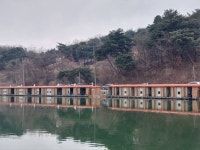 밤밭낚시터 유료낚시터 > 밤밭낚시터 3월2일 붕어 대량 방류 : 낚시사랑