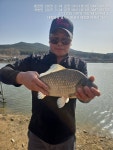 어천낚시터지기 유료낚시터 > 토종붕어 4짜소식(39번째)토종붕어 대량방류 : 낚시사랑