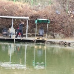 세월낚시터 유료낚시터 > 정상적인 물낚시로 손맛을 즐기시는 세월낚시터 : 낚시사랑