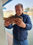 송전지호남좌대 유료낚시터 > 조황정보입니다 : 낚시사랑