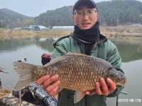 용담낚시터 유료낚시터 > 조황과방류 : 낚시사랑
