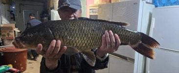 각평낚시터 유료낚시터 > 주말 조황 : 낚시사랑