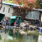 세월낚시터 유료낚시터 > 연휴동안의 조황 소식과 행운 : 낚시사랑