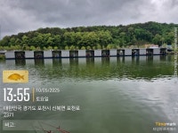 황금낚시터 유료낚시터 > 포천 황금낚시터 5월 둘째주 방류 및 조황 : 낚시사랑
