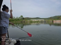 금광호수낚시터 유료낚시터 > 평일조황 입니다.. : 낚시사랑