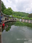 금광호수낚시터 유료낚시터 > 금요일 조황 괜찮네요. : 낚시사랑