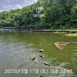 한일지기 유료낚시터 > ***한일낚시터 주말 소식*** : 낚시사랑