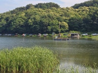 당진항곡낚시터 유료낚시터 > 배수없는 항곡낚시터 조황 : 낚시사랑