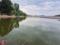 안성죽산장계낚시터 유료낚시터 > 주말조항입니다 : 낚시사랑