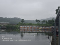 금광호수낚시터 유료낚시터 > 평일조황 대박입니다. : 낚시사랑