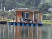 고삼 느티나무좌대 유료낚시터 > 오늘은 무쟈게 덥네요~ : 낚시사랑