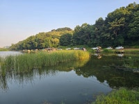당진항곡낚시터 유료낚시터 > 배수없는 항곡낚시터 조황 : 낚시사랑