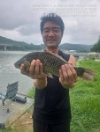어천낚시터지기 유료낚시터 > 토종붕어 4짜소식 (329번째) : 낚시사랑