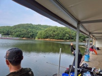 안성죽산장계낚시터 유료낚시터 > 주말조항입니다 : 낚시사랑