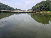 마둔지기 유료낚시터 > 여전한 입질 변함없이 잘 잡히네요 : 낚시사랑