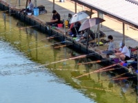 산우물낚시터 유료낚시터 > 산우물낚시터 조황소식 : 낚시사랑