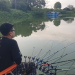 고삼수상레져하우스 유료낚시터 > 고삼수상레져하우스 조황정보 : 낚시사랑