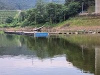 마둔지기 유료낚시터 > 쏟아진다 쏟아져! 떡붕어 대잔치 : 낚시사랑