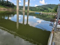 마둔지기 유료낚시터 > 붕어가 쏟아집니다 ?쏟아져 ! : 낚시사랑