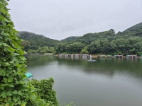 안성죽산장계낚시터 유료낚시터 > 장계낚시터 소식 : 낚시사랑