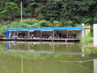 성주리낚시터 유료낚시터 > 성주리낚시터조황 : 낚시사랑