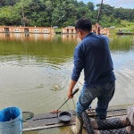 밤밭낚시터 유료낚시터 > 밤밭낚시터 9월19일(금) 가을 그리고 붕어낚시 : 낚시사랑