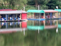 안성죽산장계낚시터 유료낚시터 > 장계낚시터 소식 : 낚시사랑