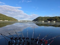 한터낚시터. 유료낚시터 > 한터 낚시터 2022년 7월 8일 금요일 조황 좋습니다. : 낚시사랑