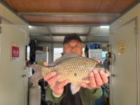 고삼지 양촌 유료낚시터 > 고삼지 조황 입니다 : 낚시사랑