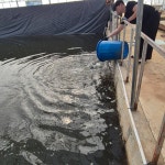 동막지기 유료낚시터 > 동막하우스 개장 : 낚시사랑