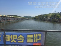 어천낚시터지기 유료낚시터 > 토종붕어 4짜소식 (534번째) 조황 정보 : 낚시사랑
