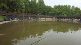 뱅뱅 > 시흥시 군자낚시터 : 낚시사랑