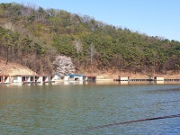 라우니아빠 > 포천 동교낚시터 : 낚시사랑