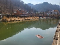 nicei > 포천 길명낚시공원 에서 즐거운 밤낚시 : 낚시사랑