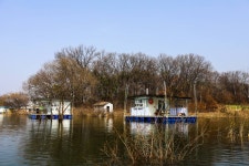 청춘어락 > 송전지 송전집 스케치 : 낚시사랑