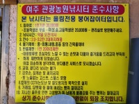 철옥에도윤 > 여주 관광농원 낚시터 : 낚시사랑