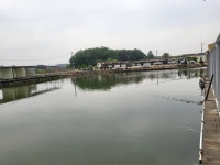 물꼬기아저씨 > 경기 김포낚시터 : 낚시사랑