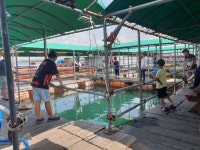 도비도와따 바다낚시조황 > 당진 와따좌대 8월 1일 조황입니다. : 낚시사랑