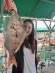 도비도와따 바다낚시조황 > 당진 와따좌대 9월 3일 조황입니다. : 낚시사랑