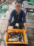 도비도와따 바다낚시조황 > 당진 와따좌대 10월 5일~8일 조황입니다. : 낚시사랑